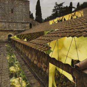 Fontfroid Abbey, France. photo collage Phyllis Odessey/ sewing Sheila Odessey (10 x 10 inches)