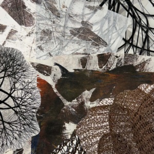 Abstraction, Digital photography and gel printing, 2026