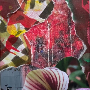 Red, Digital photography and gel printing, 2026