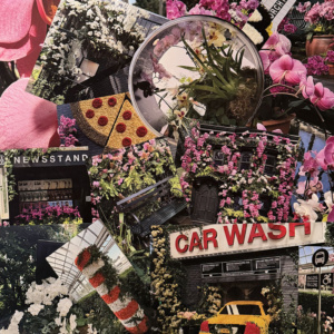 Orchids, Hand-cut photographic collage, 2026